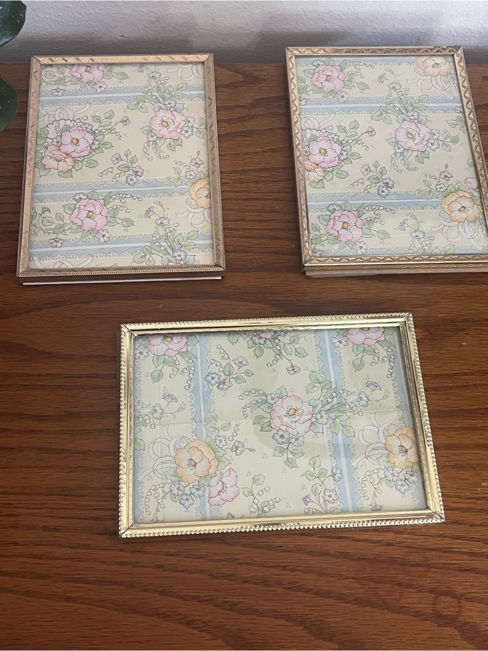 Gold medal Frame Set -